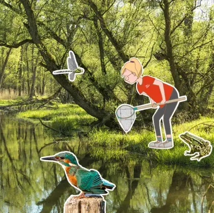 Ein Kind steht mit einem Kescher an einem Teich. Um das Kind herum sind verschiedene Tiere abgebildet.
