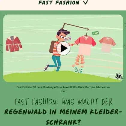 Man sieht eine Übersicht der Seite und ein Video.