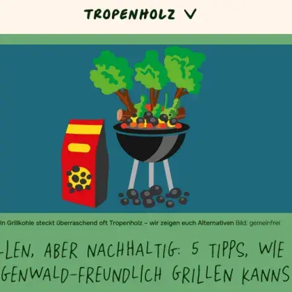 Man sieht einen gezeichneten Grill und Kohle.
