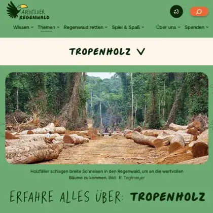 Man sieht eine Übersicht der Seite und ein Bild mit Tropenholz.