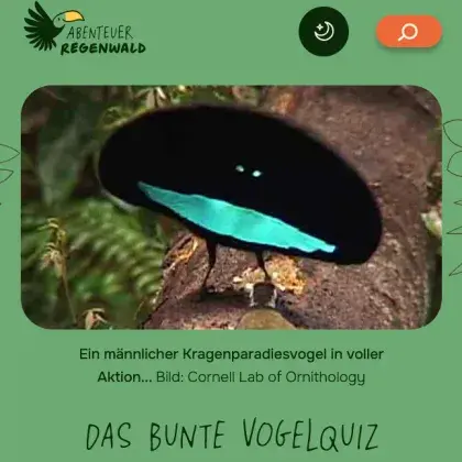 Man sieht einen schwarzen Vogel.