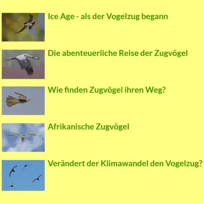 Screenshot Liste
