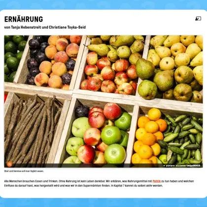 Gemüse und Obst in Kisten