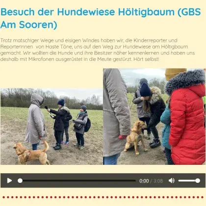 Man sieht Hunde auf einer Hundewiese.