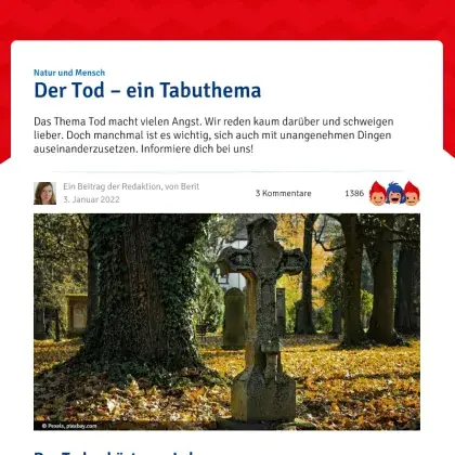 Screenshot Artikel