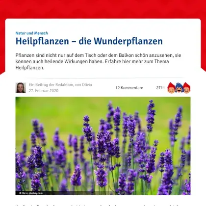 Screenshot Artikel