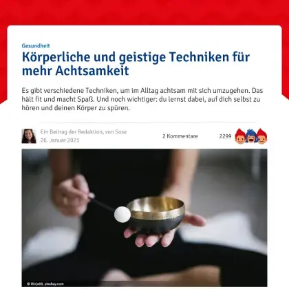 Screenshot Artikel