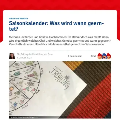 Screenshot Artikel
