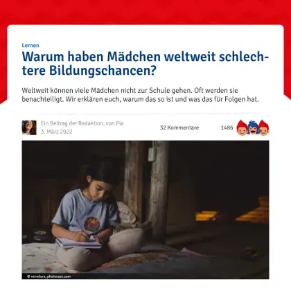 Screenshot Artikel