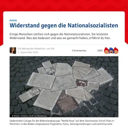 Screenshot Artikel