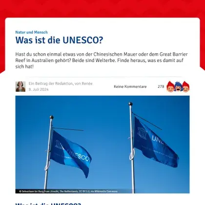Screenshot Artikel