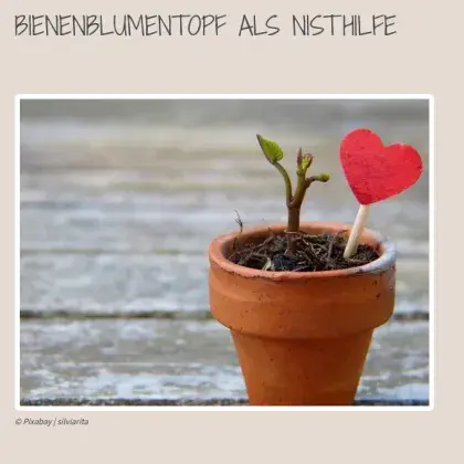 Blumentopf