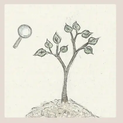 Zeichnung Baum