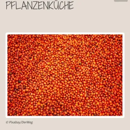 Rote Linsen