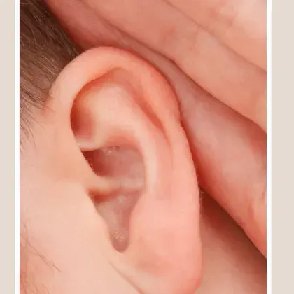 Ohr