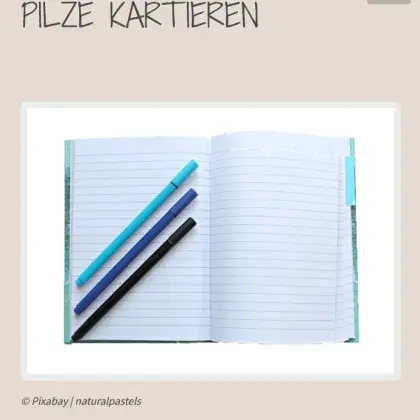 Notizbuch und Stifte