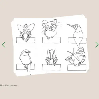 Illustrierte Tiere