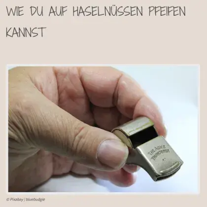 Hand mit Trillerpfeife