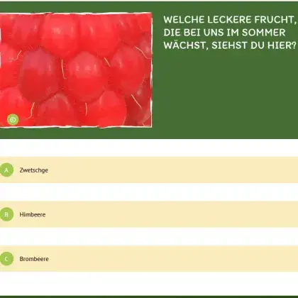 Man sieht ein Quiz und ein Bild von einer Himbeere.