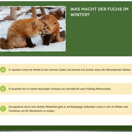 Man sieht eine Quiz-Frage und zwei Füchse.