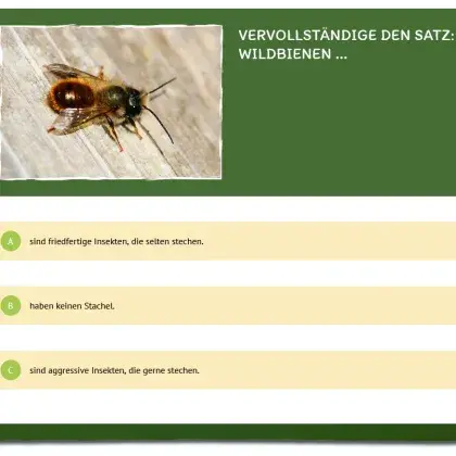 Man sieht ein Quiz und ein Bild von einer Wildbiene.