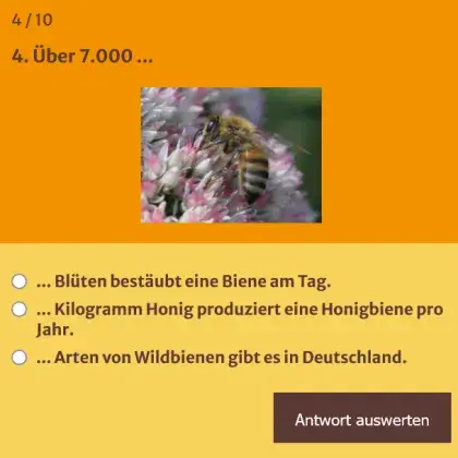 Man sieht eine Quiz-Frage und ein Bild einer Biene.