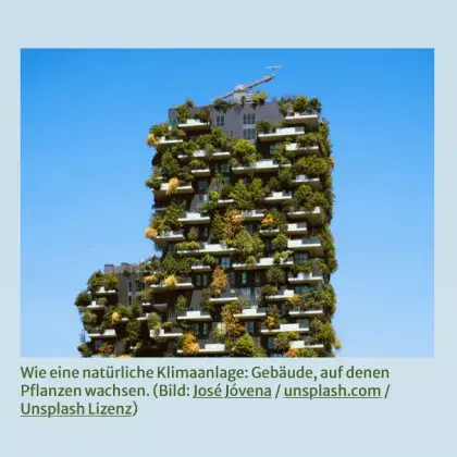 Man sieht ein bepflanztes Haus.
