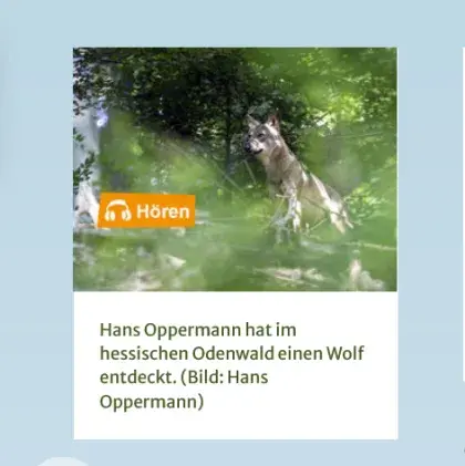 Man sieht das Podcast-Cover mit einem Wolf.