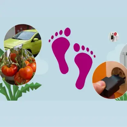 Man sieht einen Screenshot aus dem Video mit Bildern von Tomaten und einem Fußabdruck.