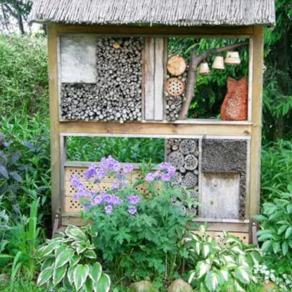 Man sieht eine Bienen Nisthilfe.