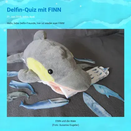 Plüsch-Delfin