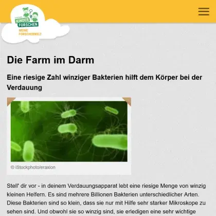 Man sieht eine Übersicht der Seite.