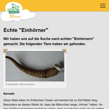 Man sieht eine Übersicht der Seite.