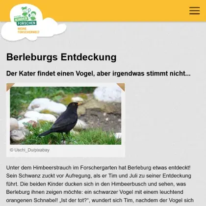 Man sieht die Übersicht der Seite.