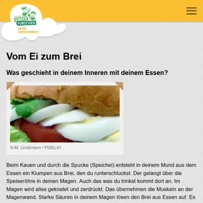 Man sieht eine Übersicht der Seite.