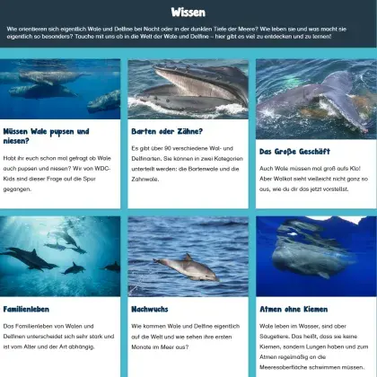 Man sieht verschiedene Bilder von Walen und Delfinen.