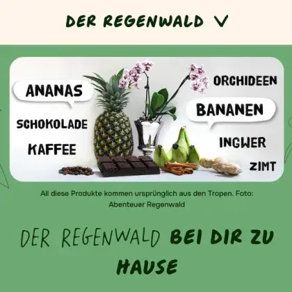 Man sieht Produkte aus dem Regenwald.