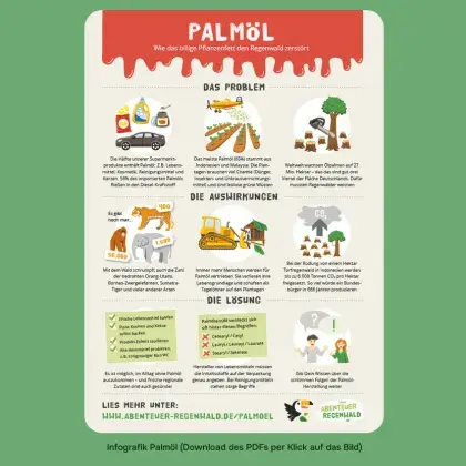 Man sieht eine Übersichts-Grafik zu Palmöl.