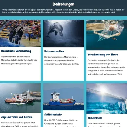Man sieht verschiedene Fotos von Walen, Delfinen und dem Meer.