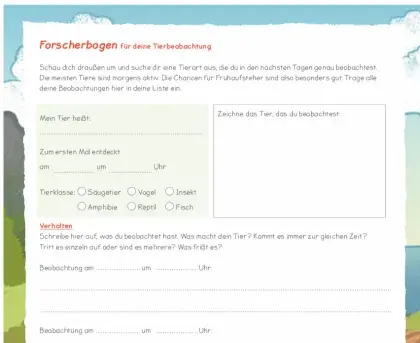 PDF zum Download