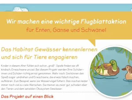 PDF zum Download
