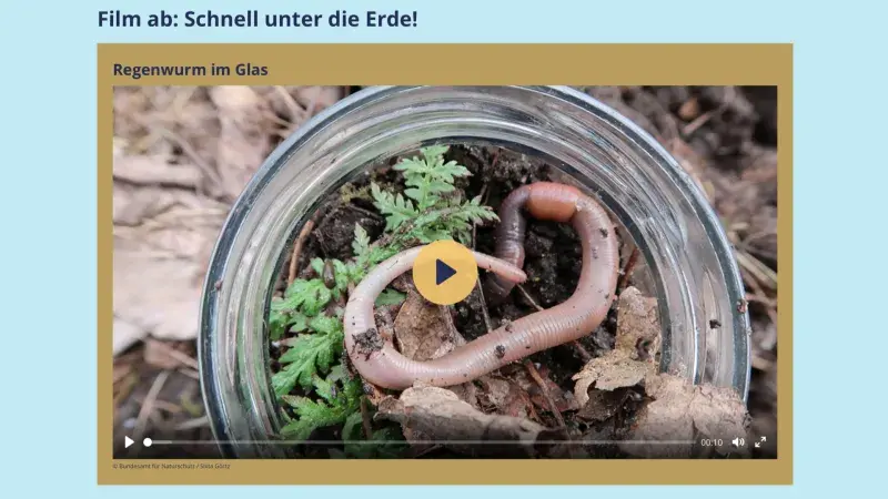 Regenwurm im Glas