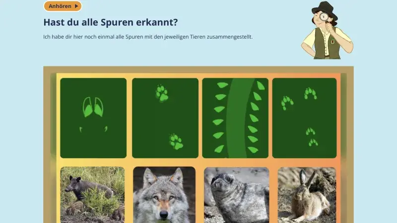 Verschiedene Spuren