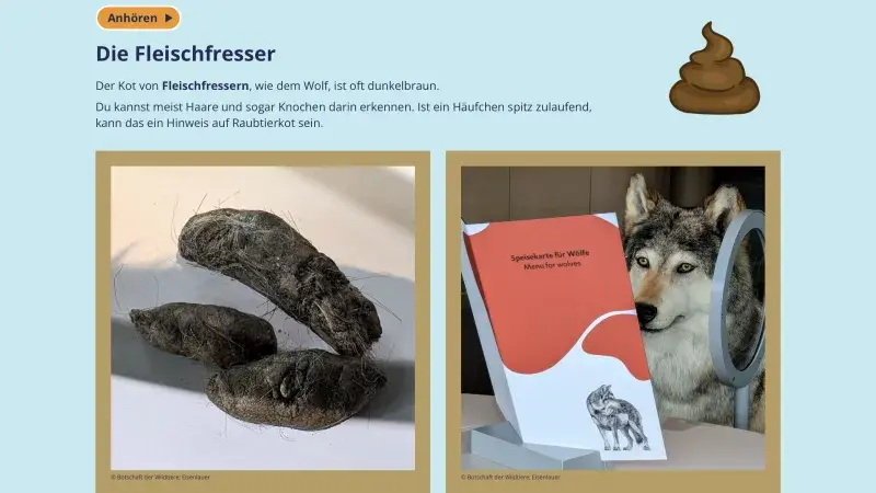 Wolf mit Speisekarte