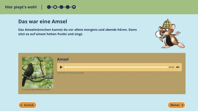 Auflösung