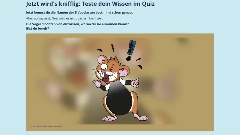 Jetzt wird‘s knifflig