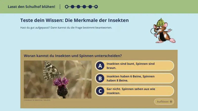 Quiz