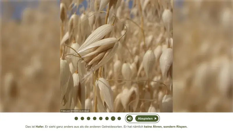 Slideshow Getreide